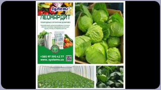 Вбудована мініатюра for Реалізація продуктів